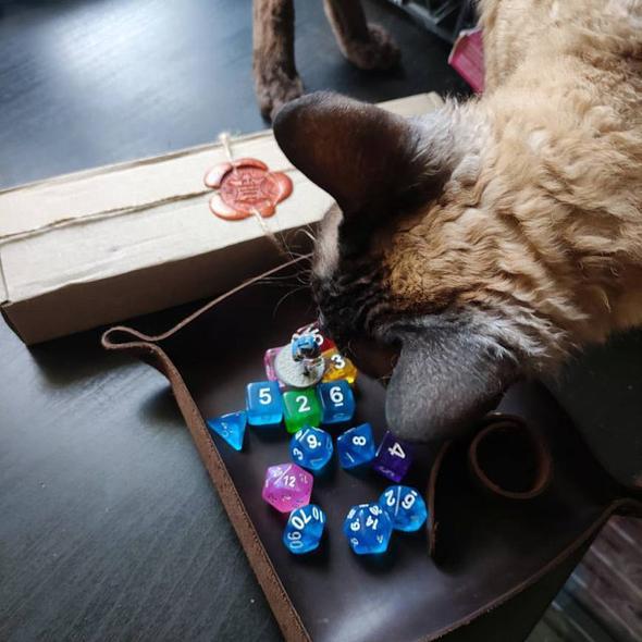 Leather DND Dice Tray
