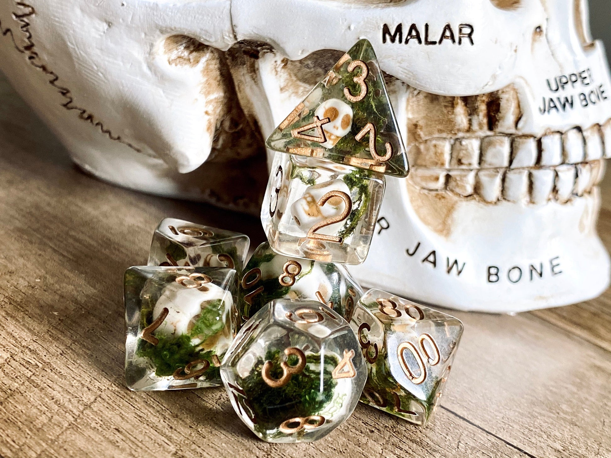 Undead Skull Dice Set